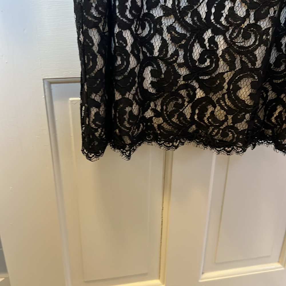 Tadashi Shoji lace cocktail dress - Picture 7 of 11